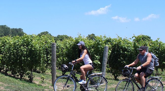 Visite à vélo des vignobles de Windsor, en Ontario